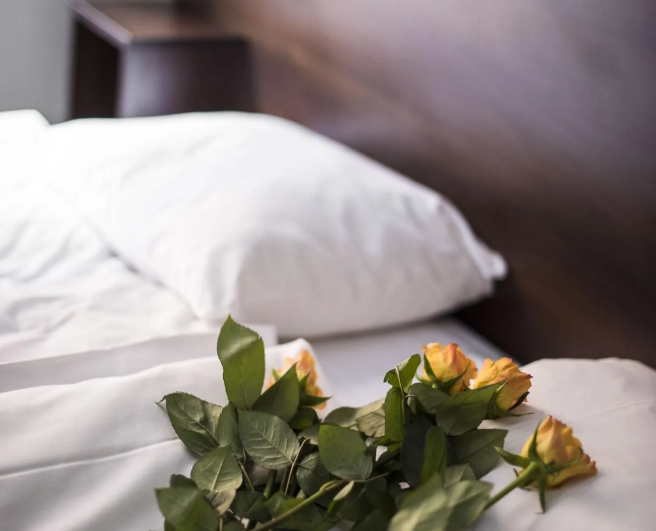 Hotel Castle House Inn Stockholm